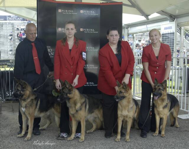 Schneeberg Breeders Team 